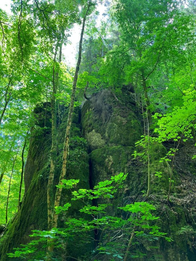 Fewo Hafner "Zuhause Mit Ausblick" Schnaittach Bagian luar foto